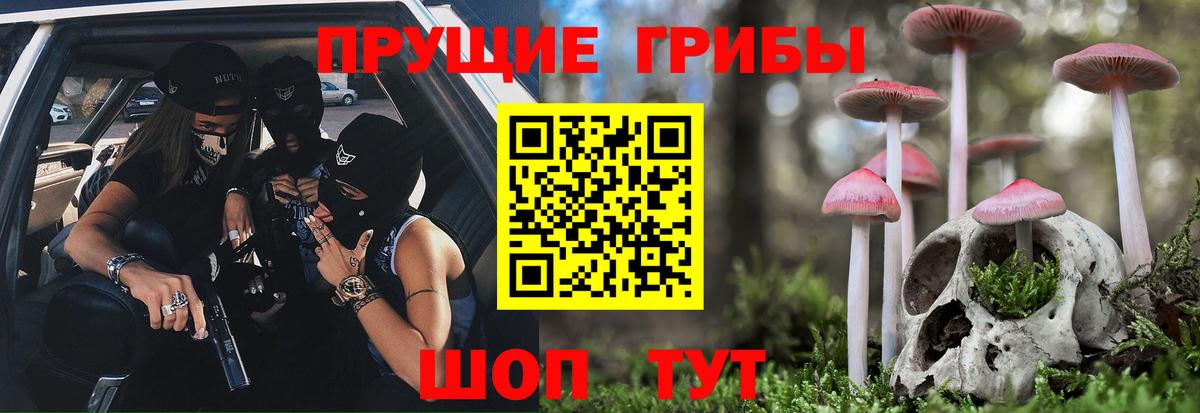 Галлюциногенные грибы прущие грибы  Вход с VPN  Чапаевск 